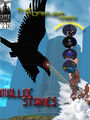 Thumbnail for version as of 00:43, 13 February 2013
