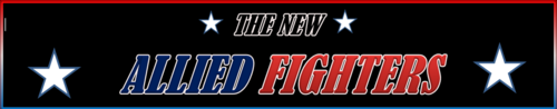 Allied Fighters Log Banner.png