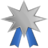Silver medal T.png